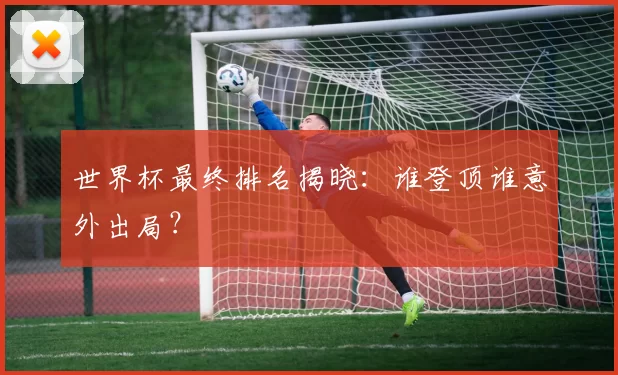 世界杯最终排名揭晓:谁登顶谁意外出局?