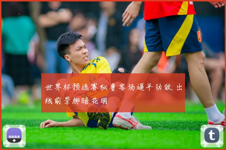 世界杯预选赛秘鲁客场逼平劲敌 出线前景柳暗花明