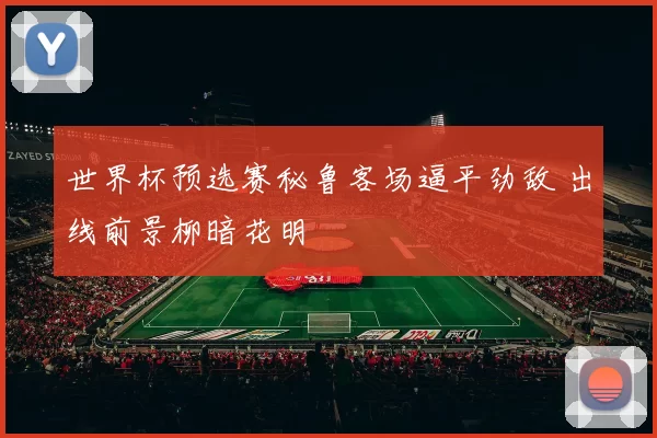 世界杯预选赛秘鲁客场逼平劲敌 出线前景柳暗花明