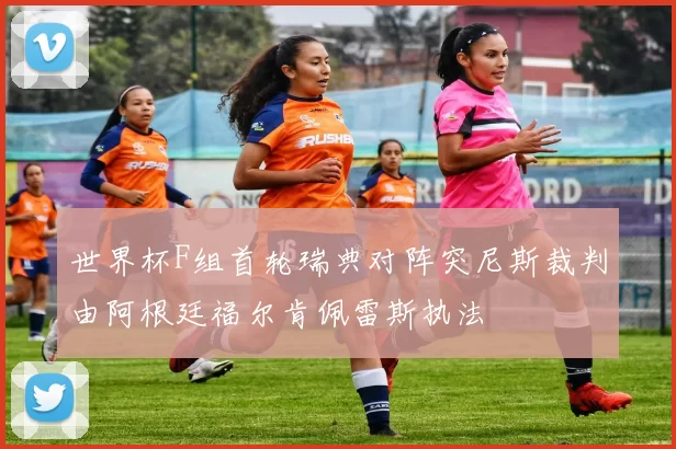 世界杯F组首轮瑞典对阵突尼斯裁判由阿根廷福尔肯佩雷斯执法