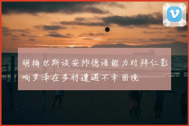 胡梅尔斯谈安帅德语能力对拜仁影响罗泽在多特遭遇不幸困境