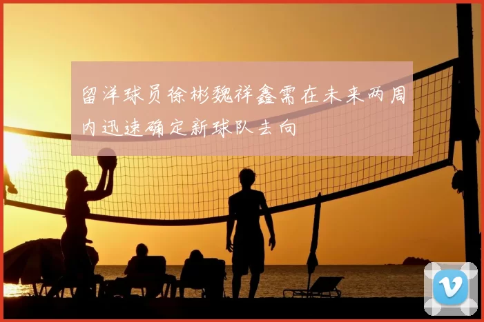 留洋球员徐彬魏祥鑫需在未来两周内迅速确定新球队去向