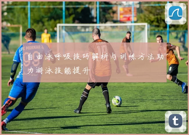 自由泳呼吸技巧解析与训练方法助力游泳技能提升