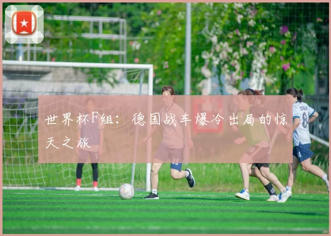 世界杯F组:德国战车爆冷出局的惊天之旅