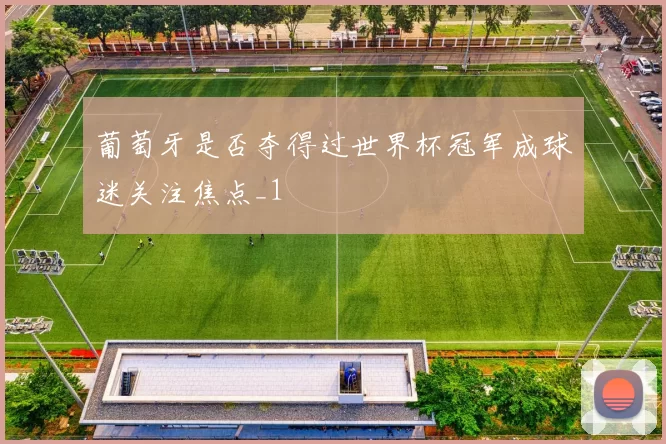 葡萄牙是否夺得过世界杯冠军成球迷关注焦点_1