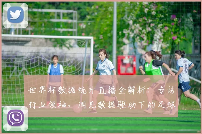 世界杯数据统计直播全解析：专访行业领袖，洞见数据驱动下的足球未来