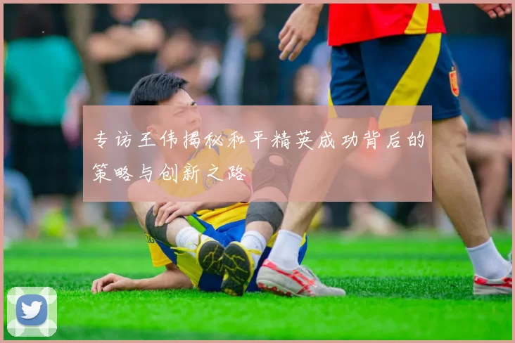 专访王伟揭秘和平精英成功背后的策略与创新之路
