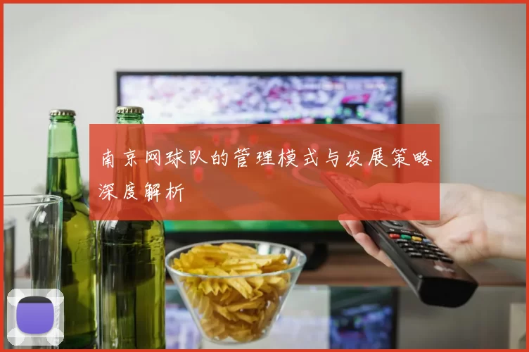南京网球队的管理模式与发展策略深度解析