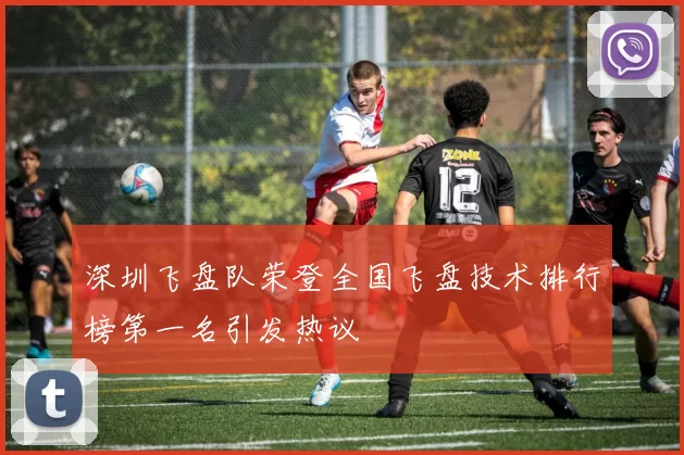 深圳飞盘队荣登全国飞盘技术排行榜第一名引发热议