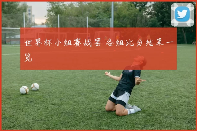 世界杯小组赛战罢 各组比分结果一览
