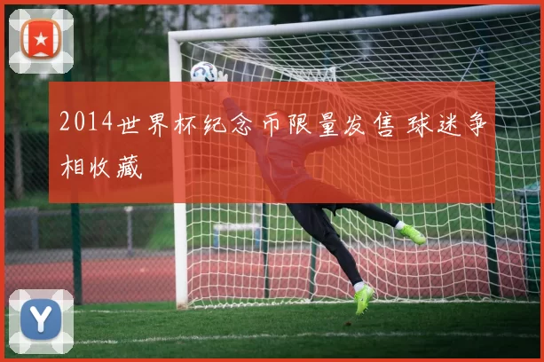 2014世界杯纪念币限量发售 球迷争相收藏