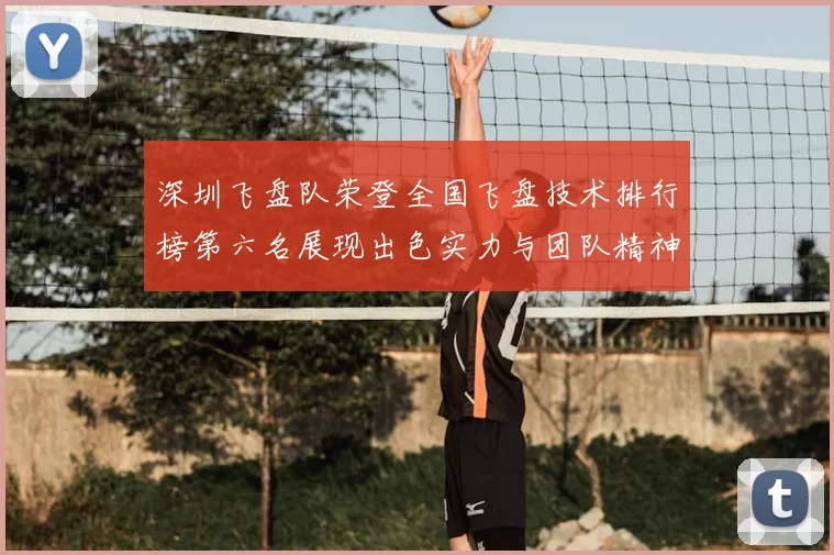 深圳飞盘队荣登全国飞盘技术排行榜第六名展现出色实力与团队精神