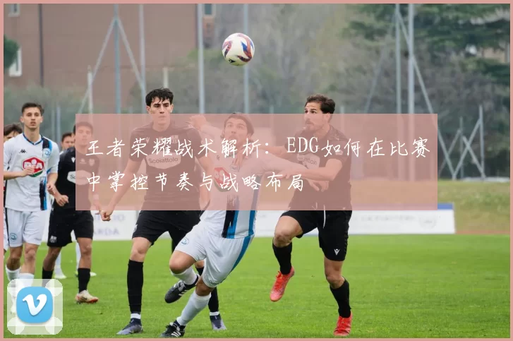 王者荣耀战术解析：EDG如何在比赛中掌控节奏与战略布局