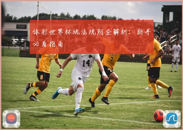 体彩世界杯玩法规则全解析:新手必看指南